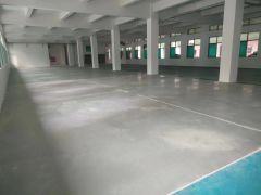 房东个人厂房一楼1200平方5.5米高租金18元厂房形象好