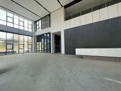 松山湖全新独栋精装企业总部