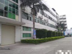 寮步 华南城 高新科技园 二楼 1000平方，带精装修