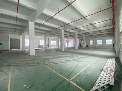 宝安石岩工业区2000平红本厂房出租 原房东200起分