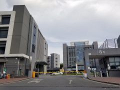 大岭山杨屋红本高新产业园53000平米，可分租，可办环评