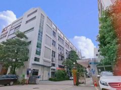 大岭山石大路旁 独院厂房出租 分租一楼 精装修 超低价 可分