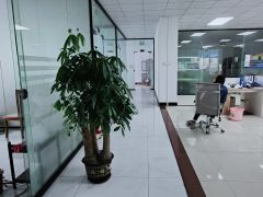 石岩石龙仔新出原房东2000平精装厂房。水电齐全。大小分租