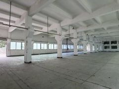 横沥镇三江工业区原房东独院出租1800平方一楼。6米高带牛角