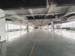 塘厦临深新空楼上2000平厂房，全新地坪漆办公室装修低价出租