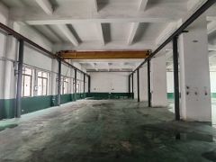 石排原房东钢构独院厂房出租，适合注塑冲压模具抽粒机械设备等