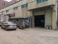 塘厦原房东独栋厂房一楼580平仓库厂房出租，实际面积，马路边