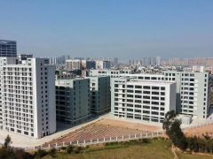 惠州惠城区马安 全新标准化厂房 可分割出租，500平米起租！
