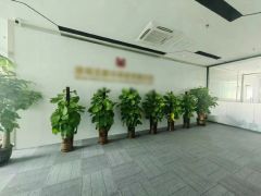 石岩石龙仔工业园原房东精装修办公室厂房1000平200平起租
