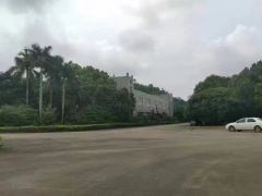 惠阳淡水新出独院花园式厂房