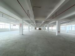 坂田地铁口厂房出租仓库出租1000平