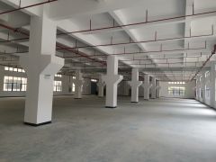 ！整栋！可分割（东江高新区标准厂房）2500平米一层，共5层