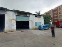 园洲镇原房东砖墙到顶单一层300平
