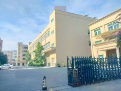 横沥西城1楼1000平低价厂房出租，高6米适合CNC模具注塑