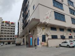 常平镇袁山贝原房东全新独院厂房低价出租12000方证件齐全