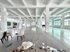 松岗107国道边一楼1200平米长房出租高度6米村委出租
