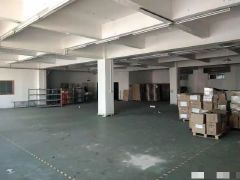 东坑 宝柏工业城 独院 厂房出租 共5000平方，形象好
