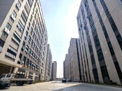 万江街道港口大道旁17层，15400方，可分租