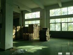 东坑 角社 自用厂房出租 一楼1000平方,无公摊面积
