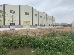园洲新出原房东新建独门独院钢构21300平带牛角厂房仓库招租