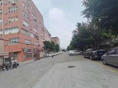 大岭山石大路旁园区重工业厂房出租带航车 精装修 超低价