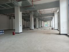 企业总部原房东龙华大浪工业园8800平全新厂房仓库出租