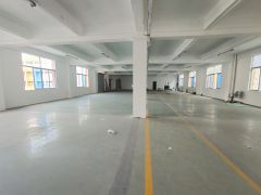 20元起租！龙岗龙东新出1300平厂房仓库出租可分租车位充足