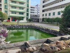 招财.水池独门独院厂房出租惠城水口大道
