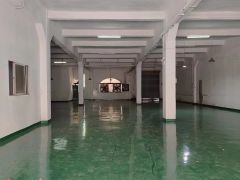塘厦振兴围1楼550平带办公室全新地平漆工业厂房出租
