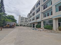 园洲禾山工业区附近带宿舍独院原房东红本厂房出租可分租空地大