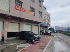 大岭山石大路旁 原房东独栋厂房 超低价 精装修 现成办公室
