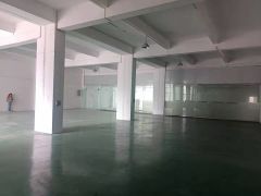厚街新出一楼1000平精装工业厂房出租仓库出租主线到位空地大