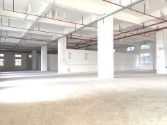 一楼，原房东自建红本厂房，大园区环境好，大量停车位