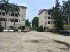 高埗草墩花园式独院，超大空地超靓厂房分租