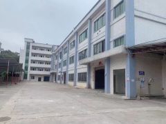 横沥镇原房东独门独院厂房仓库出租