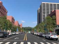 房东直租光明松白路边无公摊红本花园厂房400平起租可享补贴