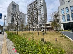 横岗原房东全新高新产业园500平超长免租期厂房低价出租