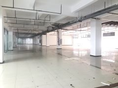 虎门万达厂房 临近布料市场带精装修 可服装电商仓库 3吨电梯