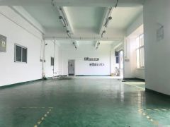寮步石步独院厂房出租2000平方，原房东