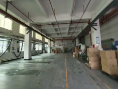 塘厦石鼓新出标准一楼带行车厂房700平，带消防喷淋办公拎包入