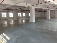 11块一平原房东新厂房，大园区形象好，红本带环评