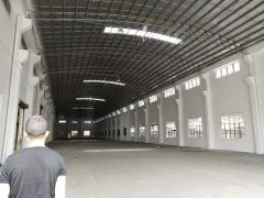 东坑 独院 单一层钢构 2800平方 带行车 高度10米