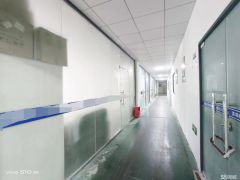 出租宝安沙井精装修800平三楼厂可用于仓库，办公分租低价出租