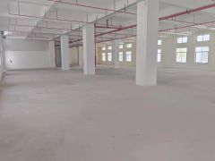 原房东一楼，23一平，新厂房大园区形象好，空地大好停车