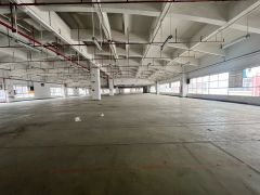 仓库 长安沙头 沿江高速3000平厂房出租 可分租 低价出租