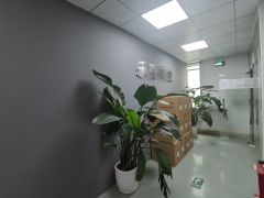 观澜福城天虹旁边1000平带精装修厂房出租