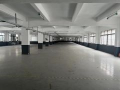 厚街溪头新出精装修标准一楼2200平现成水电厂房出租仓库出租