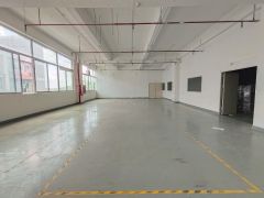 西乡，鹤洲工业区480平800平精装修厂房仓库出租，拎包入驻