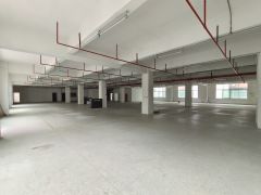 凤岗金凤凰楼上1500平租金14元厂房出租现成办公室水电