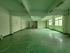 光公明田寮107松柏路边上精装厂房（620平水电主线到车间）